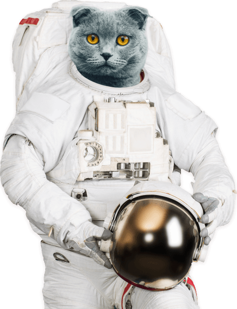 autronaut cat